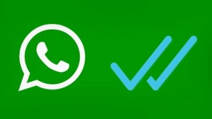 whatsapp-desbloqueio-brasil-volta-a-funcionar