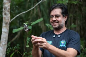 passaros na natureza