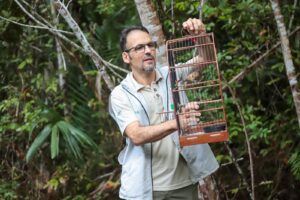 passaros na natureza1