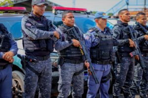 WhatsApp Image 2026-02-03 at 15.23.37